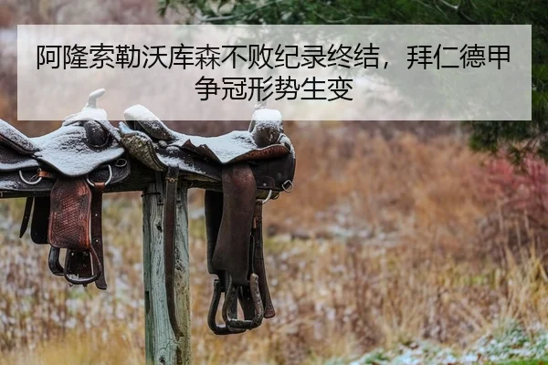 阿隆索勒沃库森不败纪录终结，拜仁德甲争冠形势生变
