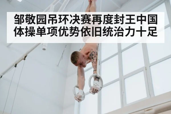 邹敬园吊环决赛再度封王中国体操单项优势依旧统治力十足