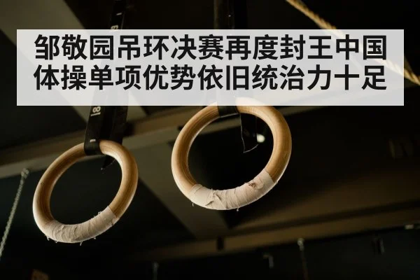 rings apparatus closeup