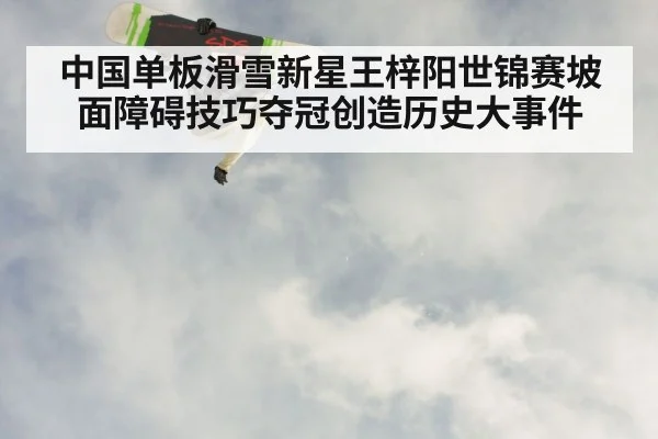 中国单板滑雪新星王梓阳世锦赛坡面障碍技巧夺冠创造历史大事件