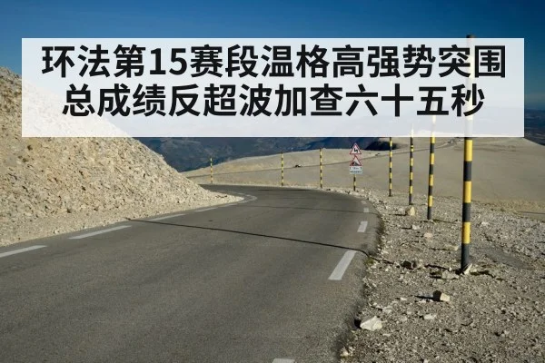 环法第15赛段温格高强势突围 总成绩反超波加查六十五秒
